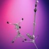 Roodiment hi hat stand & snare stand - in new condition